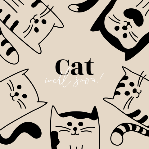 Beterschapskaart cat well soon met allerlei schattige katjes