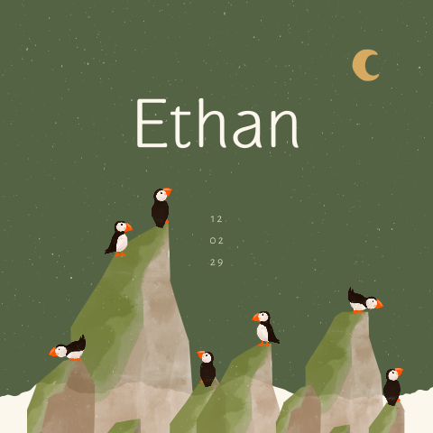 Stoer geboortekaartje voor een jongen met papegaaiduikers op klif