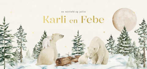 Tweeling geboortekaartje met ijsberen in een winterlandschap