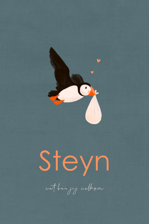 Geboortekaartje jongen met vliegende papegaaiduiker