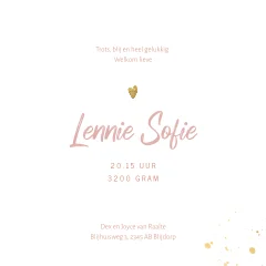 stoer geboortekaartje meisje met vlakken en label