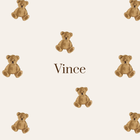 Geboortekaartje uit de Teddy bear collectie van Jollein