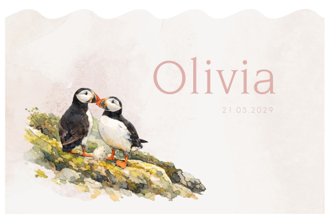 Golvend geboortekaartje voor een meisje met papegaaiduikers