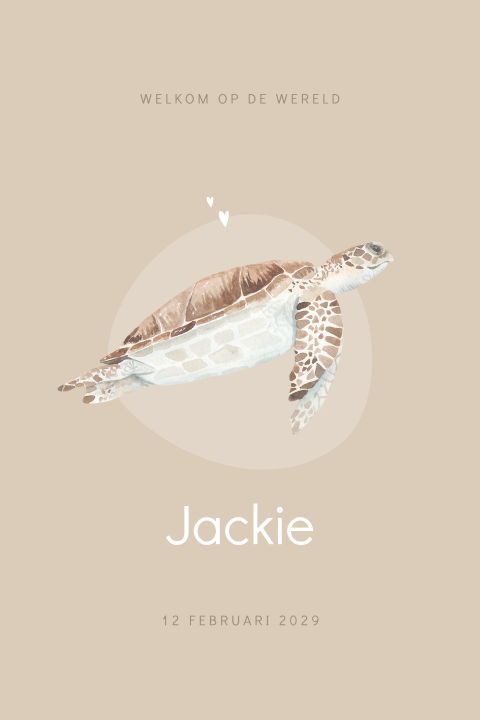Schildpad geboortekaartje unisex met nude kleuren