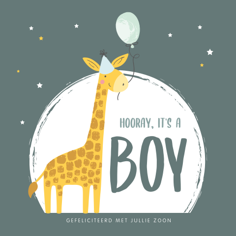 Feestelijke felicitatiekaart geboorte zoon met giraffe en ballon