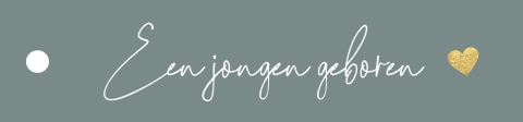 Een jongen geboren labeltjes geboorte (per 16 stuks)