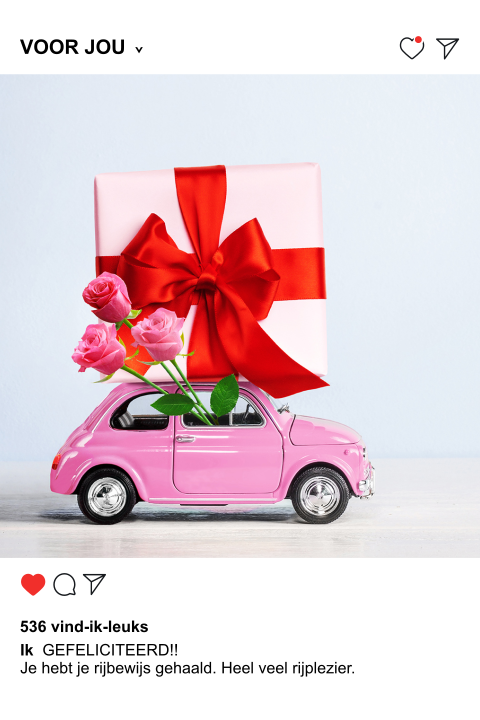 Rijbewijs gehaald wenskaart insta post