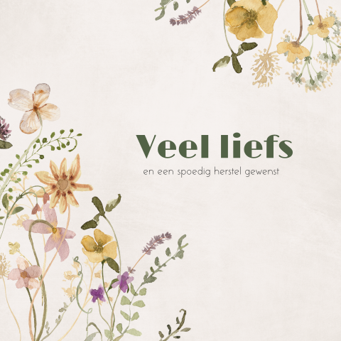 Beterschapskaart bloemen met veel liefs en spoedig herstel