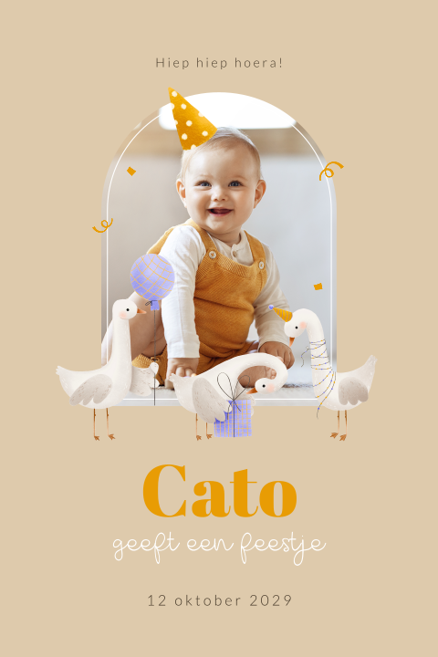 Kinderfeest uitnodiging 1 jaar met foto en gansjes