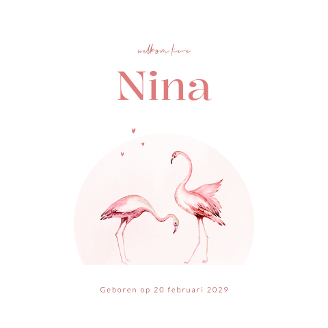 Meisjes geboortekaartje met flamingo's en hartjes