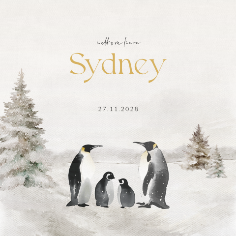 Winter geboortekaartje unisex voor een tweede kindje met pinguïns