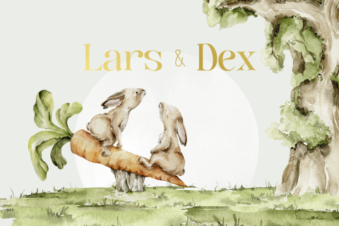 Tweeling konijnen geboortekaartje jongens wortel wipwap en goudfolie