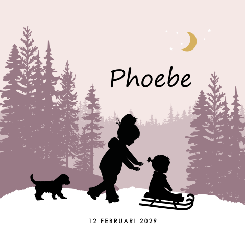 Winter geboortekaartje silhouet zusje op slee
