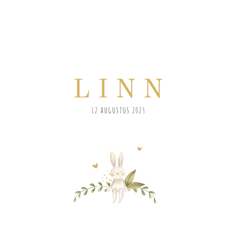 Lief geboortekaartje voor een meisje met een schattig konijntje