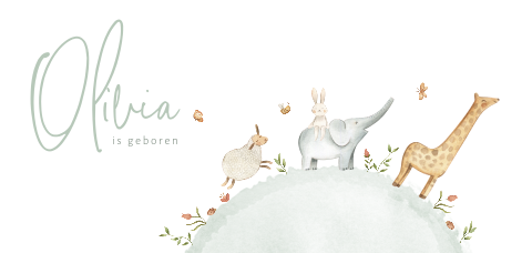 Dieren geboortekaartje met giraffe, olifantje en schaap