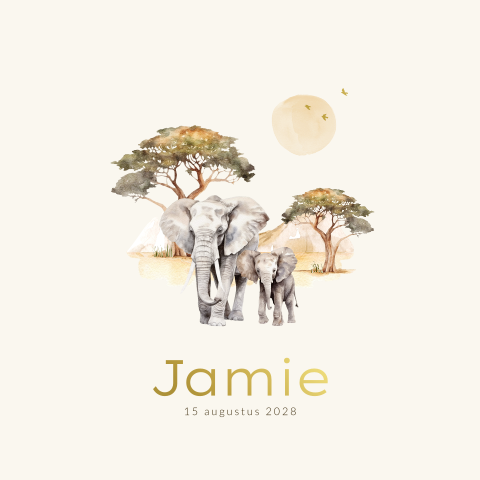 Unisex geboortekaartje met olifantjes, bomen en zon