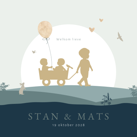 Geboortekaartje tweeling jongens in bolderkar met grote broer