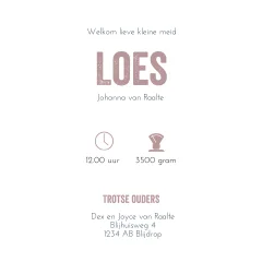 geboortekaartje meisje vlakken sterren leer label