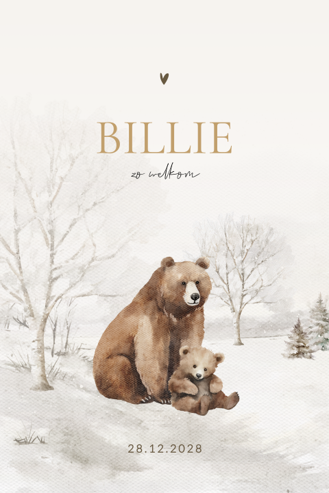 Geboortekaartje winter unisex met grote beer en kleine beer
