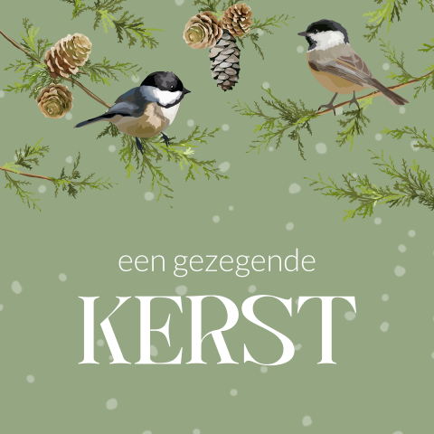 Christelijke vogel kerstkaart