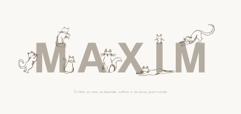 Katten geboortekaartje unisex met naam