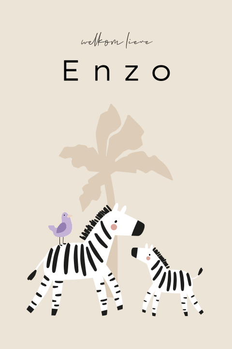 Geboortekaartje jongen met zebra en palmboom