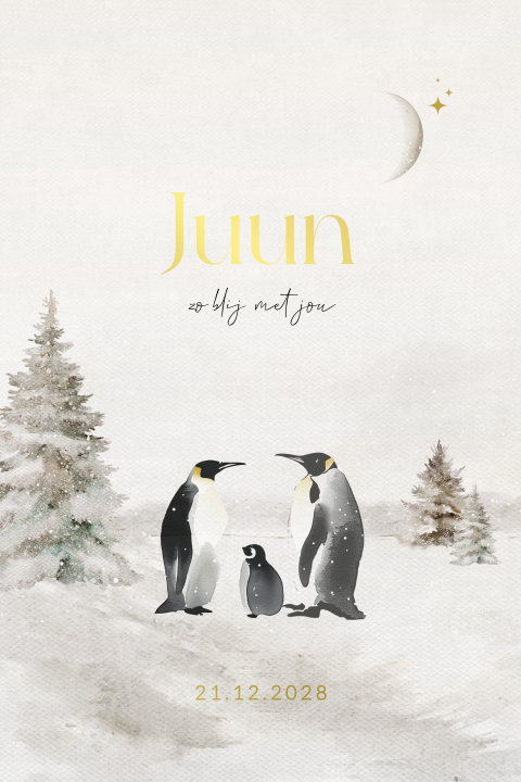 Winter geboortekaartje unisex met pinguïns