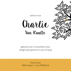 geboortekaartje meisje silhouet bankje boom lantaarn vlindertje