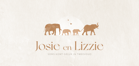 Basic tweeling geboortekaartje met silhouet olifantjes