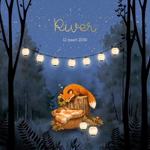 Folie jongens geboortekaartje met nachthemel, vos en baby in mandje