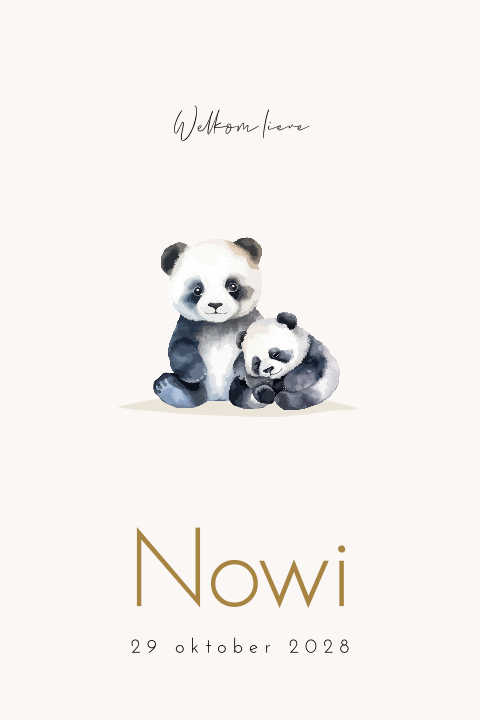 Lief unisex panda geboortekaartje