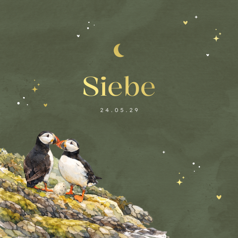 Geboortekaartje voor een jongen met papegaaiduikers en foliedruk