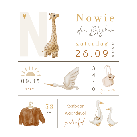 Unisex geboortekaartje voorletter, geboortegegevens en illustraties