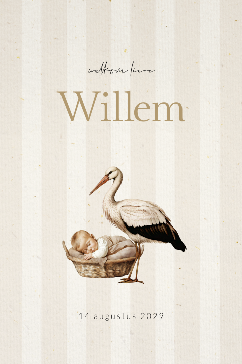 Jongens geboortekaartje met papierlook, baby in mand en ooievaar