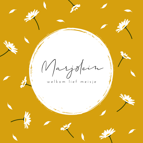 Meisjes geboortekaartje met ronde hoeken en madeliefjes