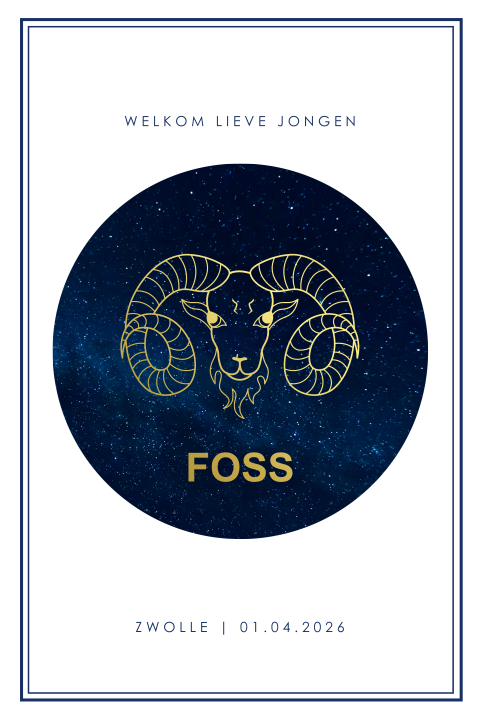 Sterrenbeeld jongens geboortekaartje Ram met foliedruk