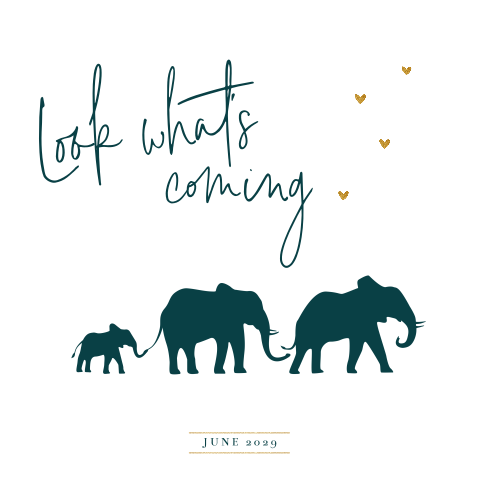 Vrolijke zwangerschapsaankondiging met olifantjes