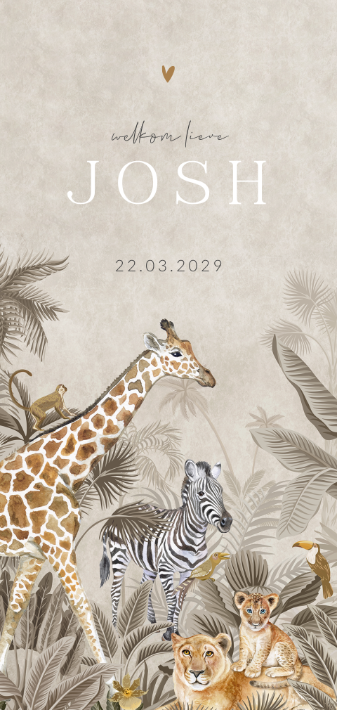 Jungle geboortekaartje unisex met giraf, leeuw en zebra