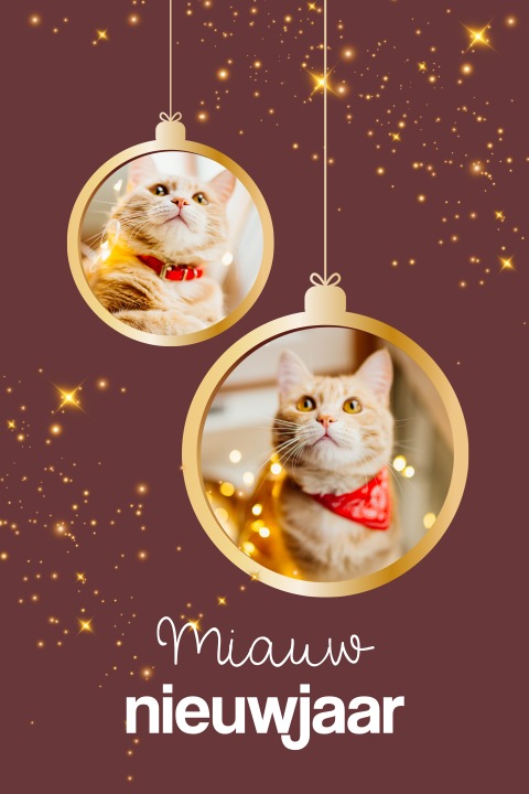 Merry Catmas kerstkaart katten met kerstballen en glitters