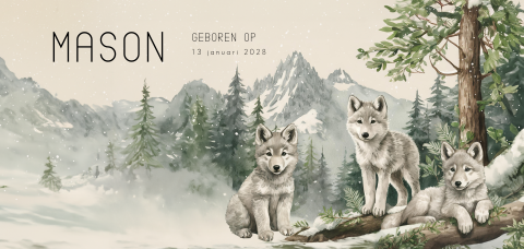 Winters unisex geboortekaartje derde kindje met wolfjes in het bos