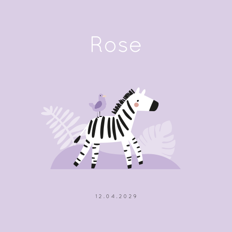 Geboortekaartje met zebra voor een meisje