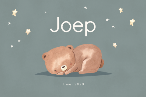 Geboortekaartje jongen met slapend beertje