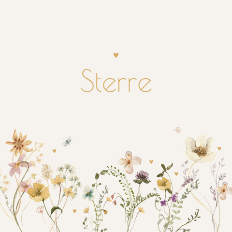 Geboortekaartje veldbloemen en hartjes voor een meisje