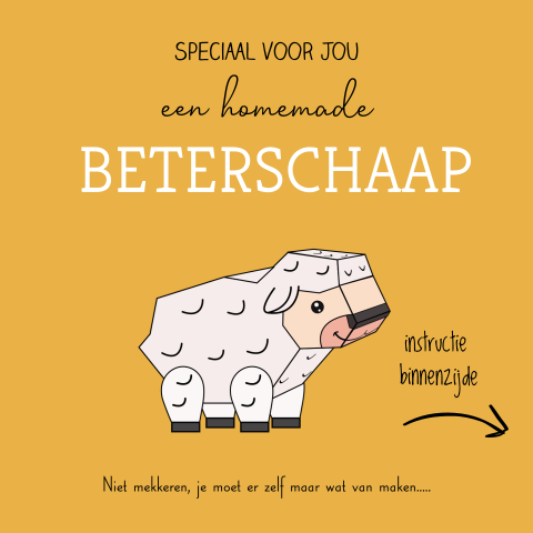 Grappige beterschaap beterschapskaart met diy schaap