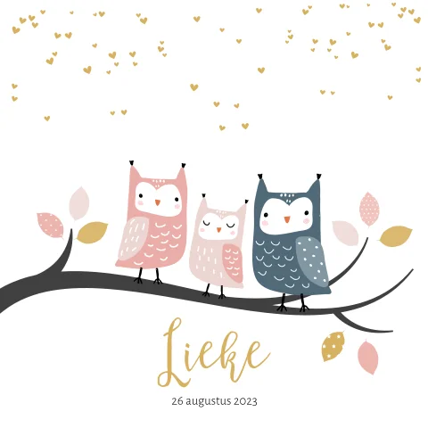 Drie uiltjes op een tak, baby zusje