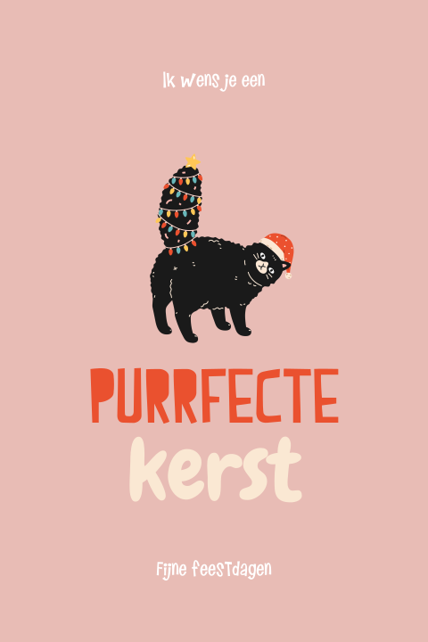 Purrfecte kerstkaart met kat en kerstlampjes