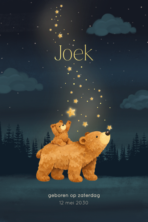 Luxe geboortekaartje voor een jongen met mama beer en baby in de nacht