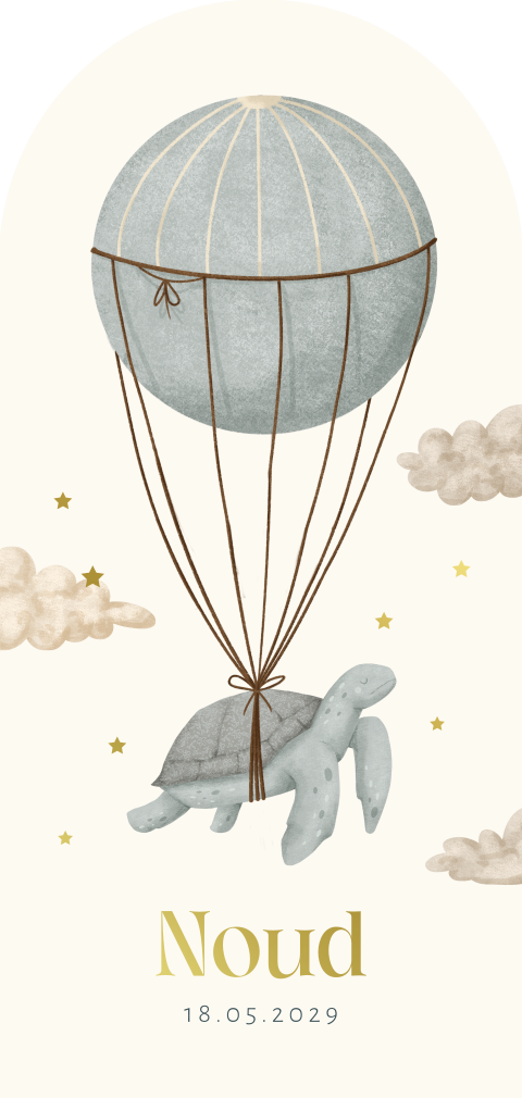 Uniek jongens geboortekaartje in archvorm met schildpad en luchtballon