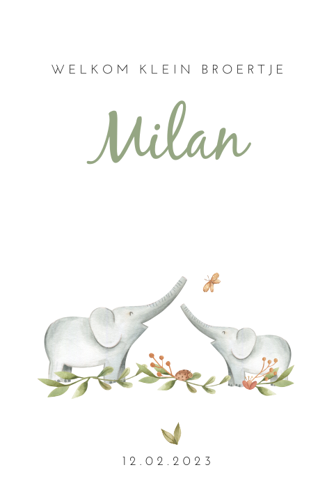 Geboortekaartje broertje met olifantjes