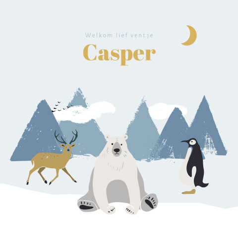 Winter jongenskaartje met ijsbeer en pinguïn